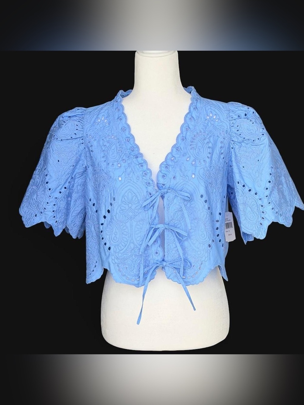 Moon River Light Blue Eyelet Tie-Front Crop Top